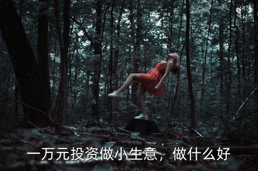 一萬元投資做小生意，做什么好