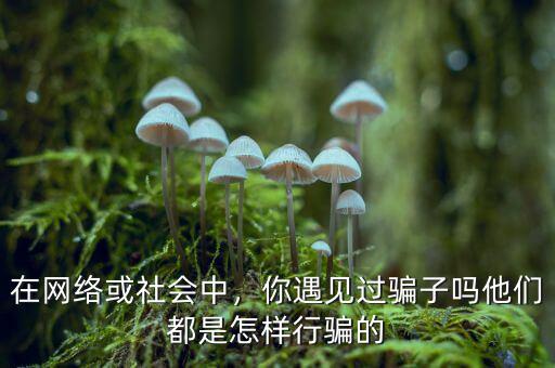 網(wǎng)絡詐騙她們是怎么洗錢的,他們都是怎樣行騙的