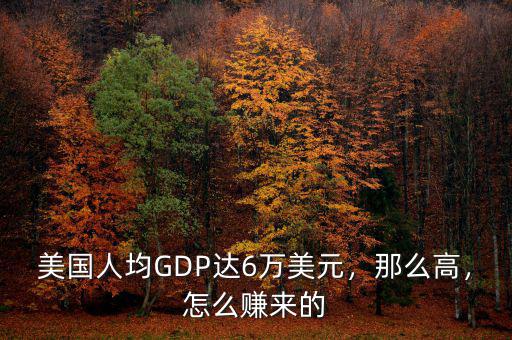 美國人均GDP達(dá)6萬美元，那么高，怎么賺來的