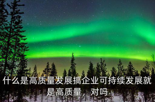 什么是高質(zhì)量發(fā)展搞企業(yè)可持續(xù)發(fā)展就是高質(zhì)量，對嗎