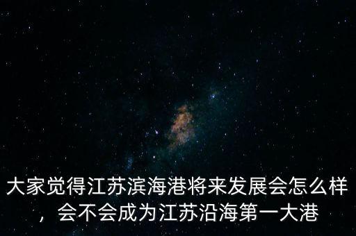 大家覺得江蘇濱海港將來發(fā)展會(huì)怎么樣，會(huì)不會(huì)成為江蘇沿海第一大港