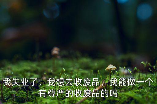 我失業(yè)了，我想去收廢品，我能做一個(gè)有尊嚴(yán)的收廢品的嗎