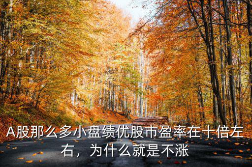 A股那么多小盤績優(yōu)股市盈率在十倍左右，為什么就是不漲