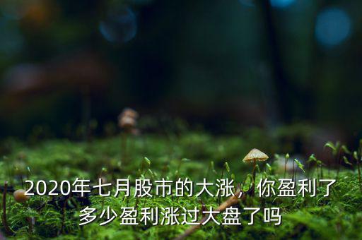 2020年七月股市的大漲，你盈利了多少盈利漲過大盤了嗎