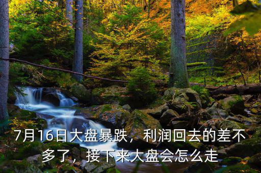 7月16日大盤(pán)暴跌，利潤(rùn)回去的差不多了，接下來(lái)大盤(pán)會(huì)怎么走
