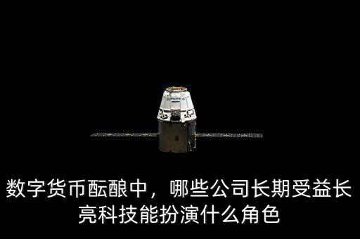 數字貨幣醞釀中，哪些公司長期受益長亮科技能扮演什么角色