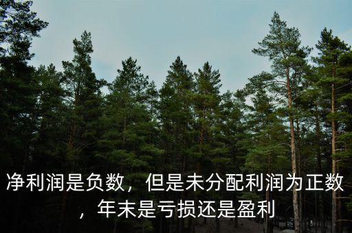 凈利潤是負數(shù)，但是未分配利潤為正數(shù)，年末是虧損還是盈利