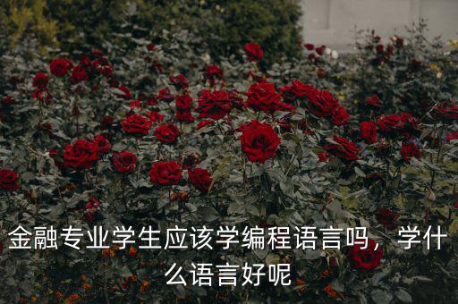 金融專業(yè)學生應(yīng)該學編程語言嗎，學什么語言好呢