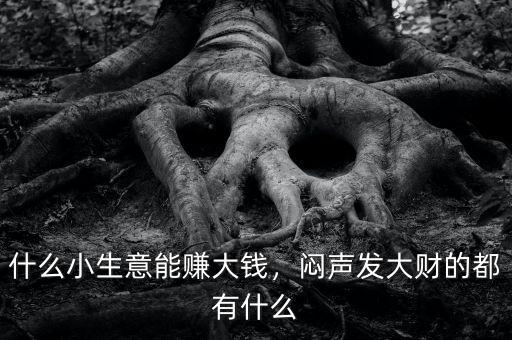 什么小生意能賺大錢(qián)，悶聲發(fā)大財(cái)?shù)亩加惺裁? class=