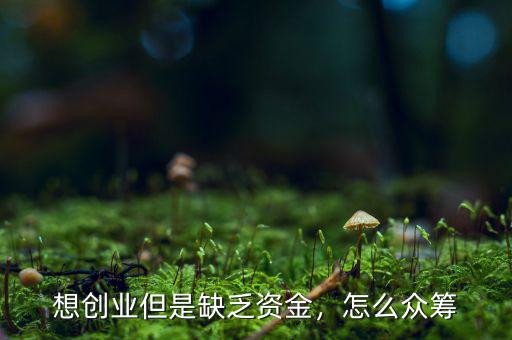想創(chuàng)業(yè)但是缺乏資金，怎么眾籌