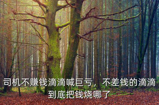 司機(jī)不賺錢(qián)滴滴喊巨虧，不差錢(qián)的滴滴到底把錢(qián)燒哪了