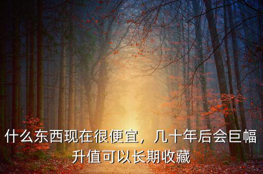 什么東西現(xiàn)在很便宜，幾十年后會巨幅升值可以長期收藏