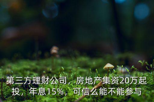 第三方理財公司，房地產(chǎn)集資20萬起投，年息15%，可信么能不能參與