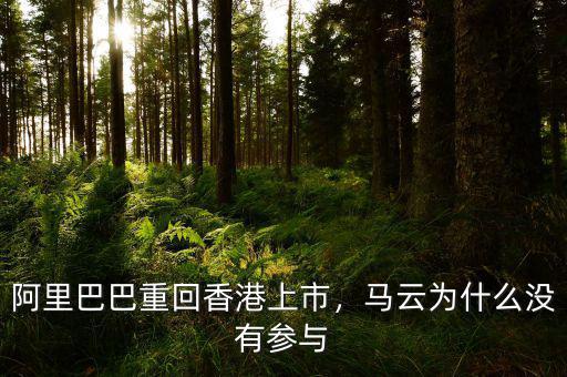 阿里巴巴重回香港上市，馬云為什么沒有參與