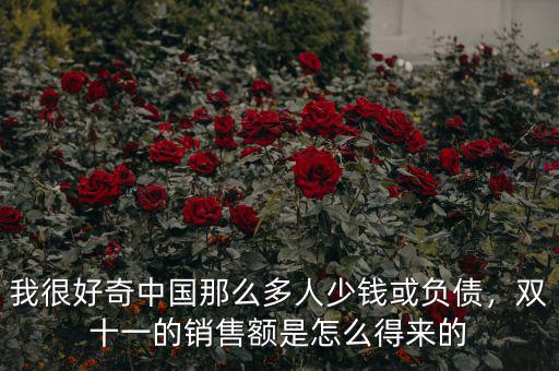 我很好奇中國那么多人少錢或負債，雙十一的銷售額是怎么得來的