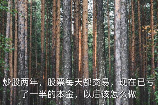 炒股兩年，股票每天都交易，現(xiàn)在已虧了一半的本金，以后該怎么做