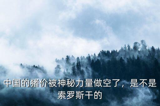 中國的豬價被神秘力量做空了，是不是索羅斯干的