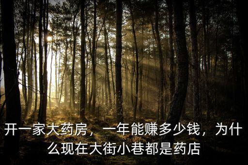 開一家大藥房，一年能賺多少錢，為什么現(xiàn)在大街小巷都是藥店
