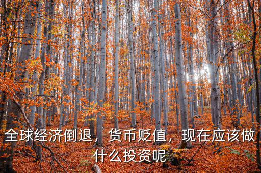 全球經(jīng)濟倒退，貨幣貶值，現(xiàn)在應(yīng)該做什么投資呢