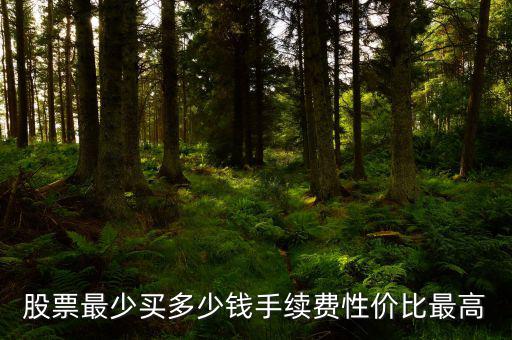 買(mǎi)股票手續(xù)費(fèi)多少,究竟需要繳納多少手續(xù)費(fèi)