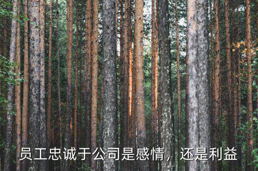 員工忠誠(chéng)于公司是感情，還是利益
