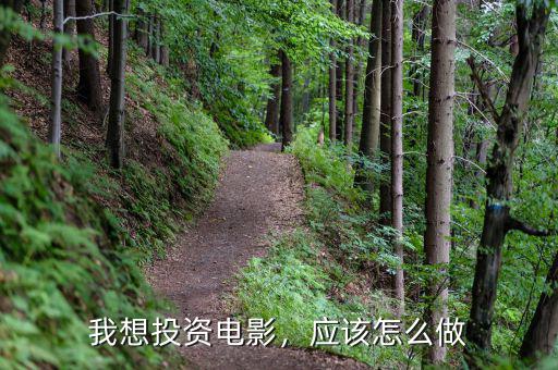 我想投資電影，應(yīng)該怎么做