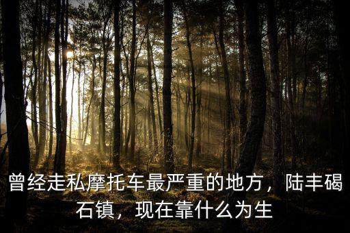 曾經(jīng)走私摩托車最嚴重的地方，陸豐碣石鎮(zhèn)，現(xiàn)在靠什么為生
