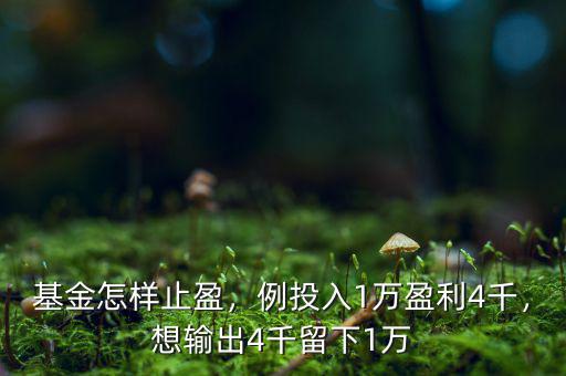 基金怎樣止盈，例投入1萬盈利4千，想輸出4千留下1萬
