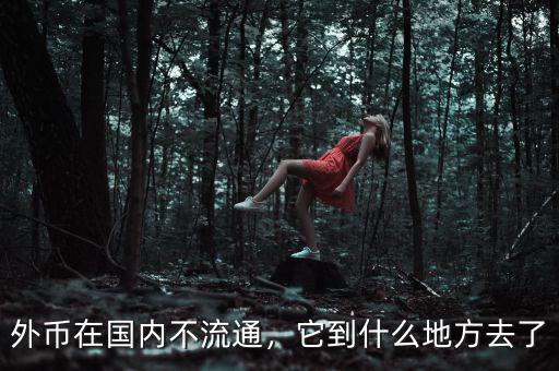 外幣在國內(nèi)不流通，它到什么地方去了