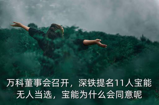 萬科董事會(huì)召開，深鐵提名11人寶能無人當(dāng)選，寶能為什么會(huì)同意呢