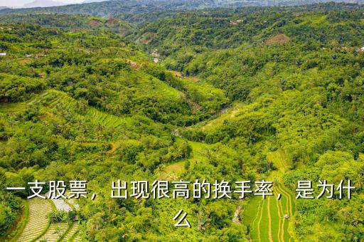 一支股票，出現(xiàn)很高的換手率，是為什么