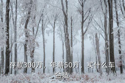 存款300萬，年薪50萬，買什么車合適