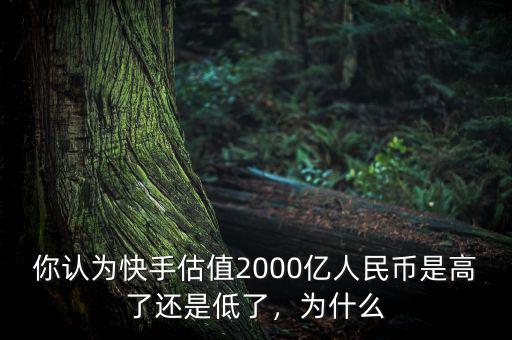 你認為快手估值2000億人民幣是高了還是低了，為什么