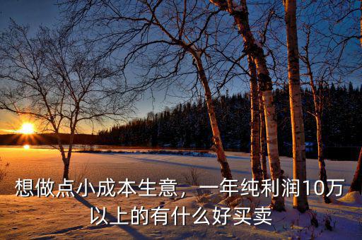 想做點(diǎn)小成本生意，一年純利潤10萬以上的有什么好買賣