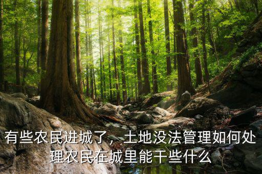 有些農(nóng)民進(jìn)城了，土地沒(méi)法管理如何處理農(nóng)民在城里能干些什么