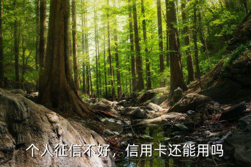 個(gè)人征信不好，信用卡還能用嗎