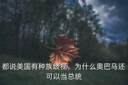 都說(shuō)美國(guó)有種族歧視，為什么奧巴馬還可以當(dāng)總統(tǒng)