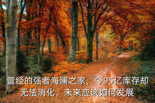曾經(jīng)的強(qiáng)者海瀾之家，今95億庫(kù)存卻無(wú)法消化，未來(lái)應(yīng)該如何發(fā)展