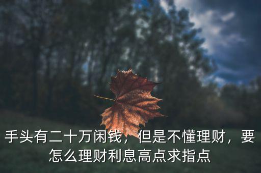 手頭有二十萬閑錢，但是不懂理財，要怎么理財利息高點求指點
