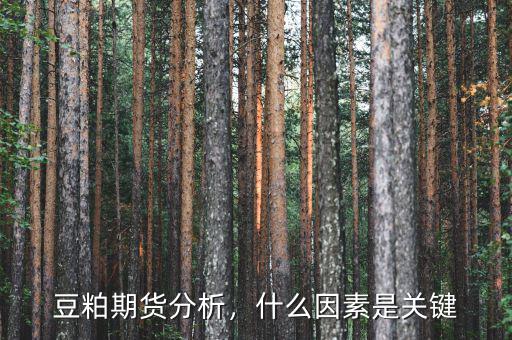 豆粕期貨分析，什么因素是關(guān)鍵