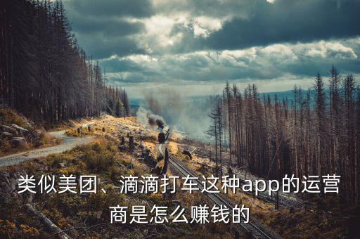 類似美團(tuán)、滴滴打車(chē)這種app的運(yùn)營(yíng)商是怎么賺錢(qián)的