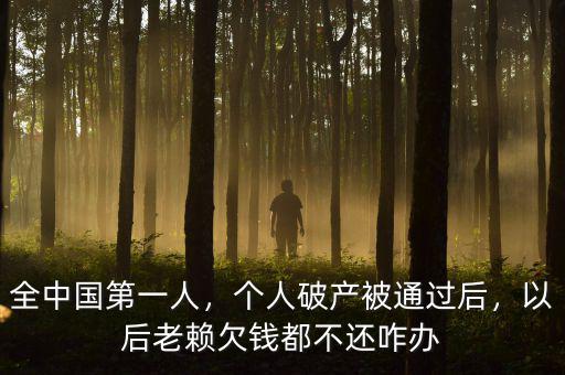 全中國第一人，個人破產(chǎn)被通過后，以后老賴欠錢都不還咋辦