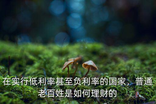 在實行低利率甚至負(fù)利率的國家，普通老百姓是如何理財?shù)? class=