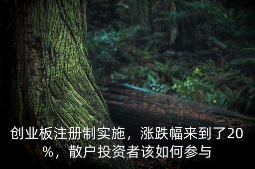 創(chuàng)業(yè)板注冊制實施，漲跌幅來到了20%，散戶投資者該如何參與