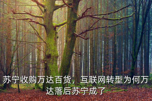 蘇寧收購萬達(dá)百貨，互聯(lián)網(wǎng)轉(zhuǎn)型為何萬達(dá)落后蘇寧成了