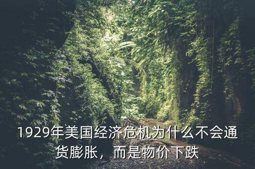 1929年美國經(jīng)濟危機為什么不會通貨膨脹，而是物價下跌
