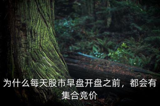 為什么每天股市早盤開盤之前，都會有集合競價