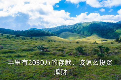 手里有2030萬的存款，該怎么投資理財(cái)