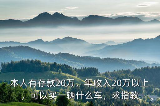 本人有存款20萬，年收入20萬以上，可以買一輛什么車，求指教