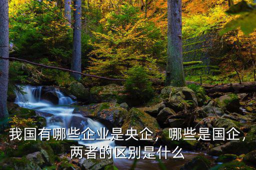 我國有哪些企業(yè)是央企，哪些是國企，兩者的區(qū)別是什么
